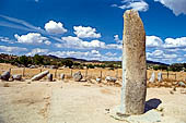 Megaliti neolitici nella zona di Monsaraz. Cromeleque do Xerez.